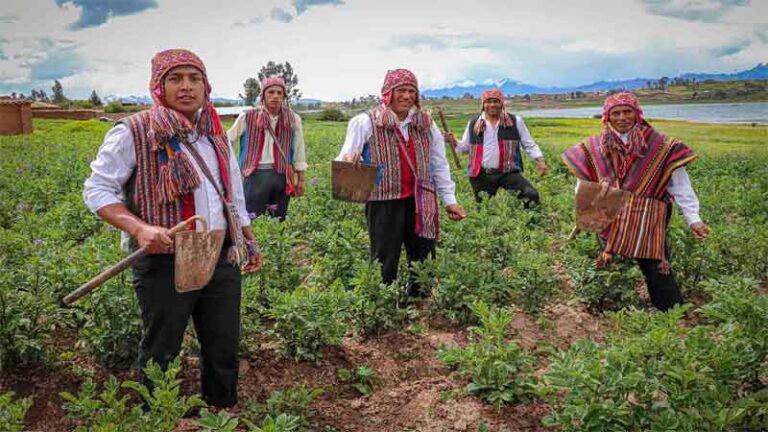 anuncio agri1 1 768x432