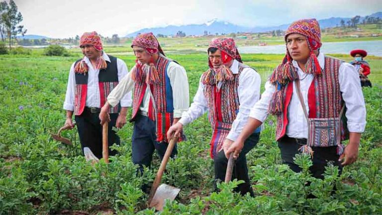 anuncio agri4 768x432