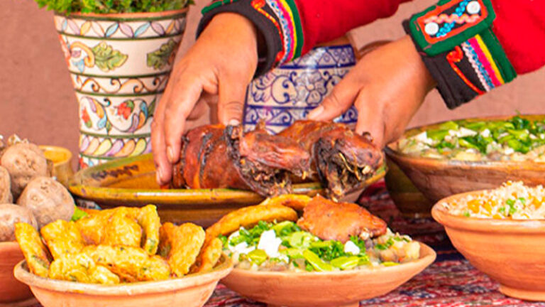Gastro 002 768x432